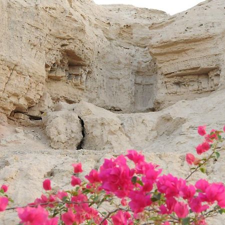 Dead Sea Dawn Villa Neot HaKikar Eksteriør billede