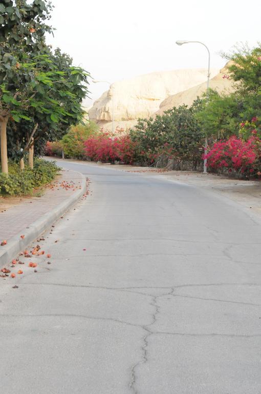Dead Sea Dawn Villa Neot HaKikar Eksteriør billede