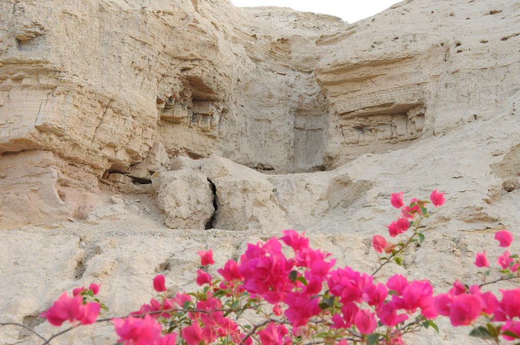 Dead Sea Dawn Villa Neot HaKikar Eksteriør billede